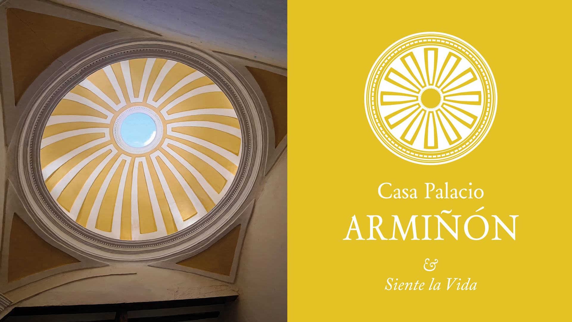 arminon_collage_color